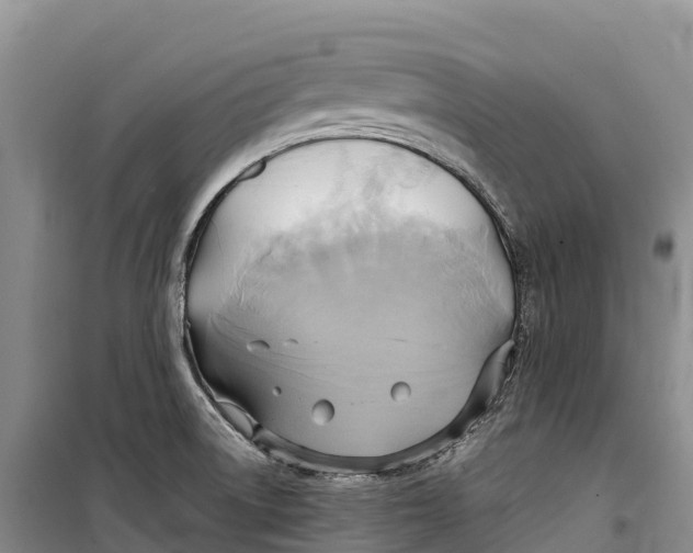 X0000099231522200805151618