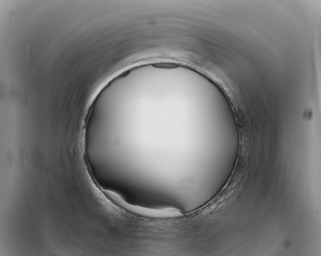 X0000099231524200805151618