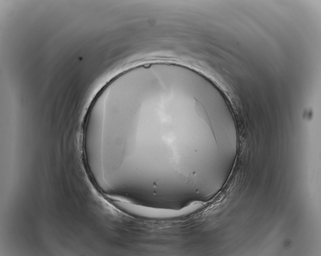 X0000099231527200805151618