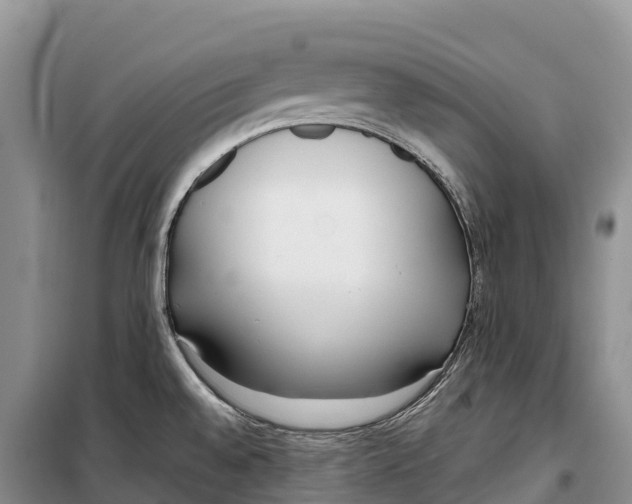 X0000099231528200805151618