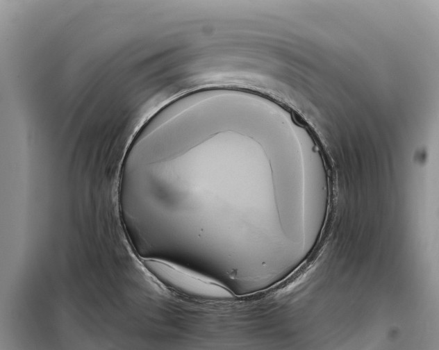 X0000099231529200805151618