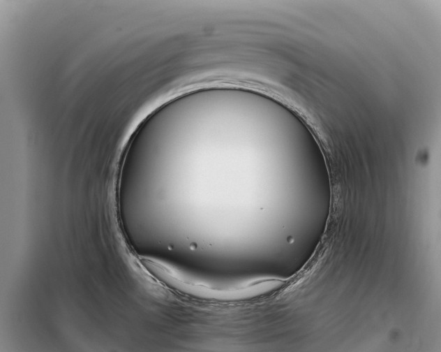 X0000099231530200805151618