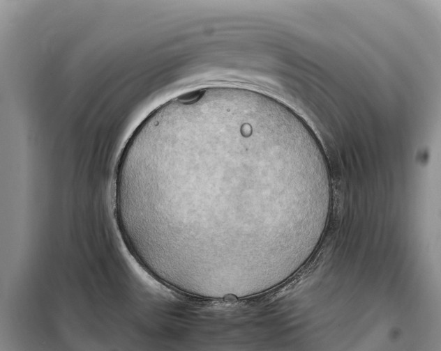 X0000099231531200805151618