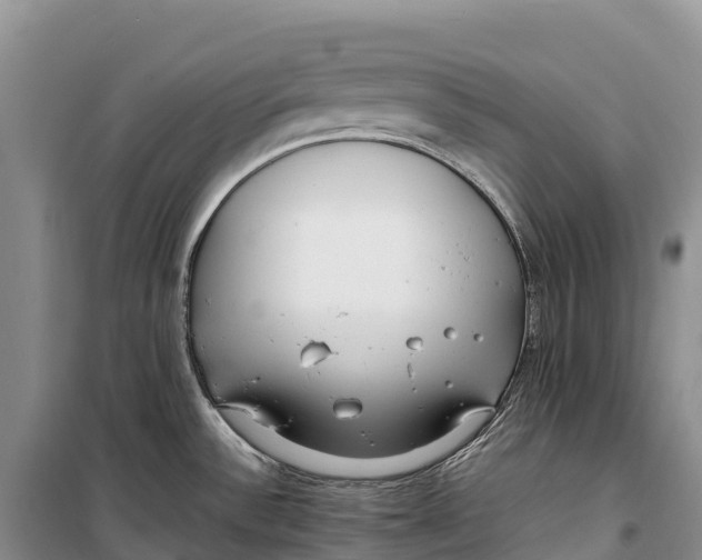 X0000099231532200805151618