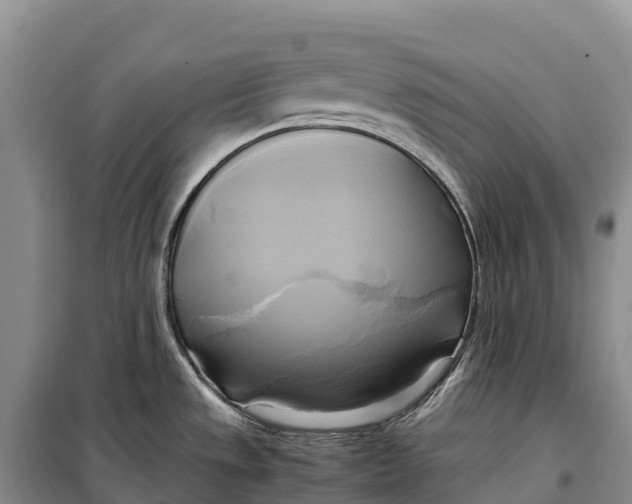 X0000099231533200805151618