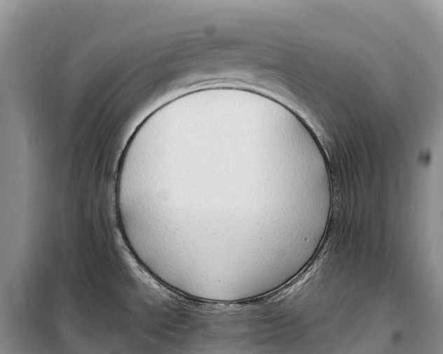 X0000099231534200805151618