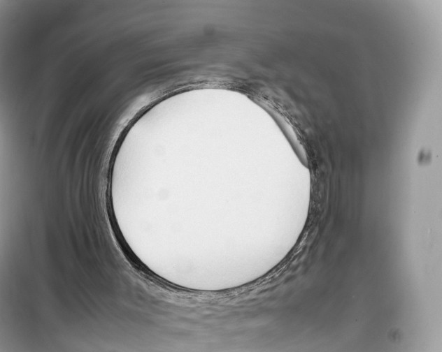 X0000099230003200805221846