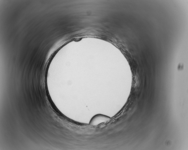 X0000099230004200805221846