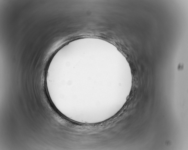 X0000099230005200805221846