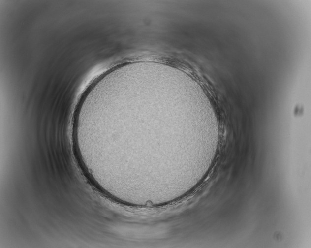 X0000099230006200805221846