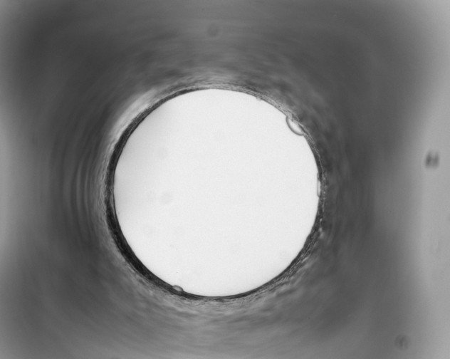 X0000099230007200805221846