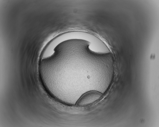 X0000099230008200805221846