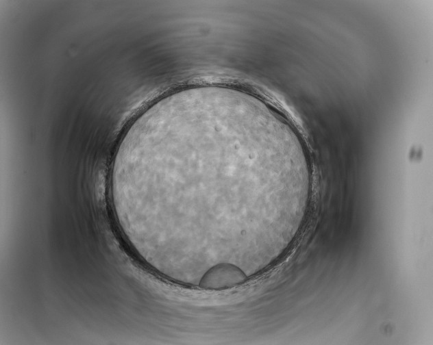 X0000099230010200805221846