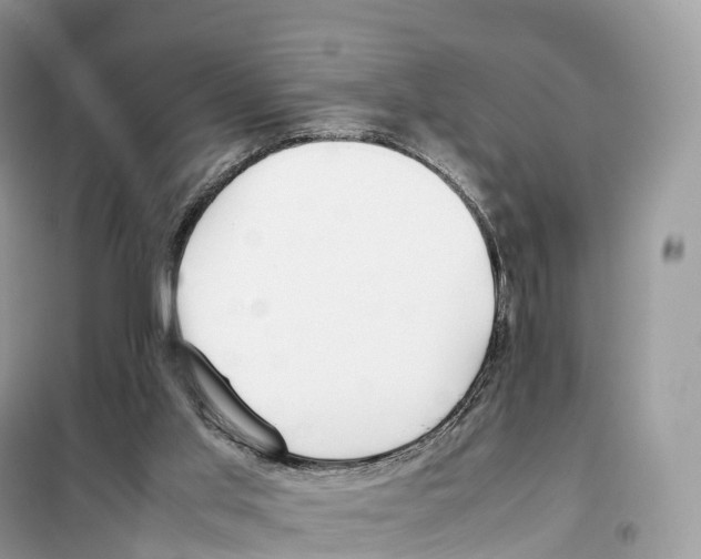 X0000099230013200805221846