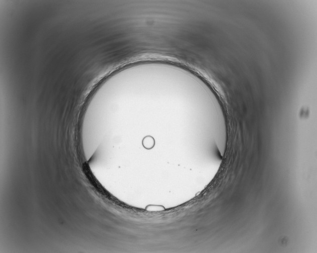 X0000099230015200805221845