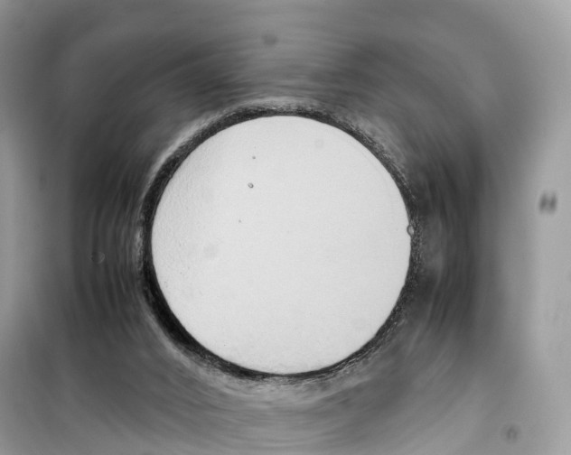 X0000099230016200805221845