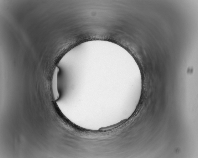 X0000099230017200805221845