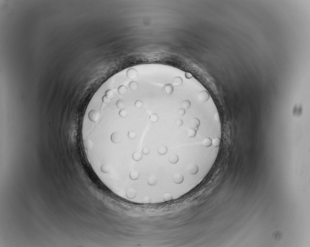 X0000099230018200805221845