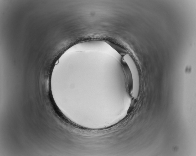 X0000099230019200805221845