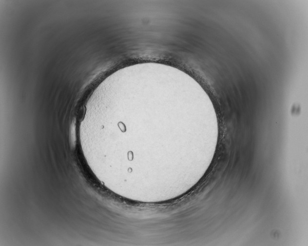 X0000099230020200805221845