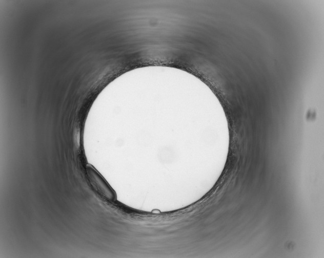 X0000099230021200805221845