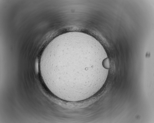 X0000099230022200805221845