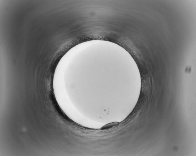 X0000099230023200805221845