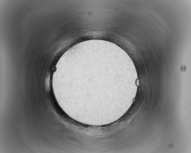 X0000099230024200805221845