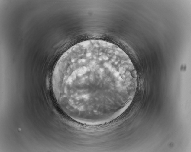 X0000099230026200805221845