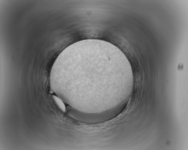 X0000099230029200805221845