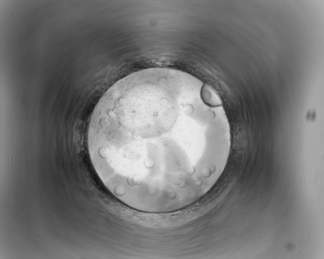 X0000099230030200805221845