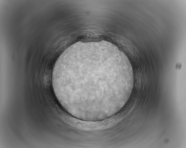 X0000099230034200805221845