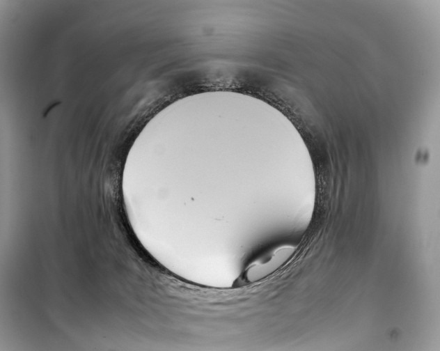 X0000099230035200805221845