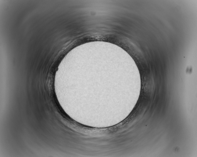 X0000099230036200805221845