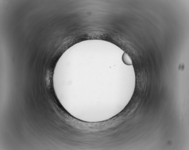 X0000099230038200805221845