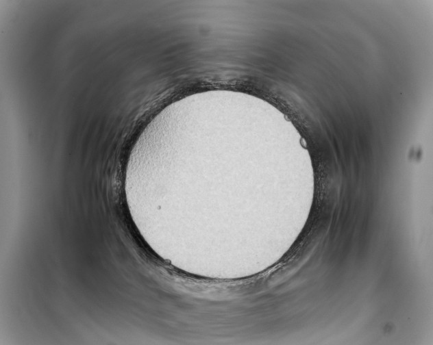 X0000099230040200805221845