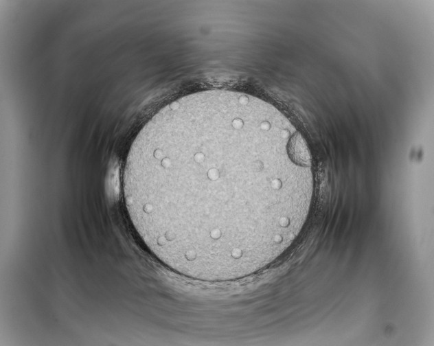 X0000099230042200805221845