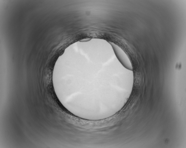 X0000099230043200805221845