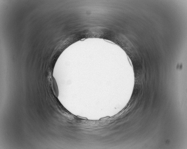 X0000099230045200805221845