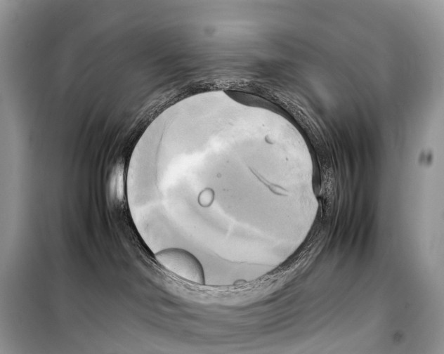 X0000099230046200805221845