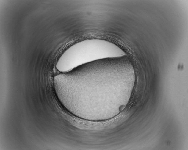 X0000099230048200805221845