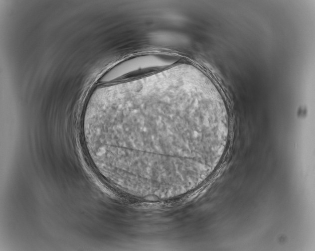 X0000099230049200805221844