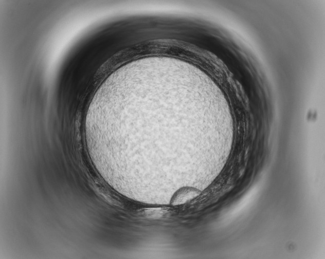 X0000099230050200805221844