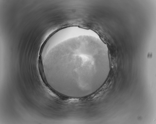 X0000099230052200805221844