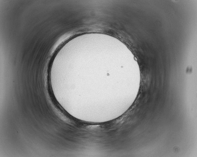 X0000099230054200805221844