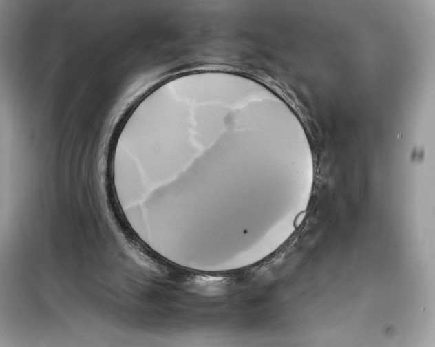 X0000099230055200805221844