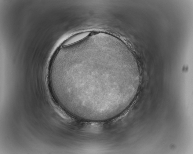 X0000099230056200805221844