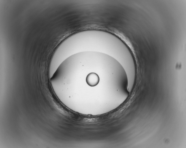 X0000099230057200805221844