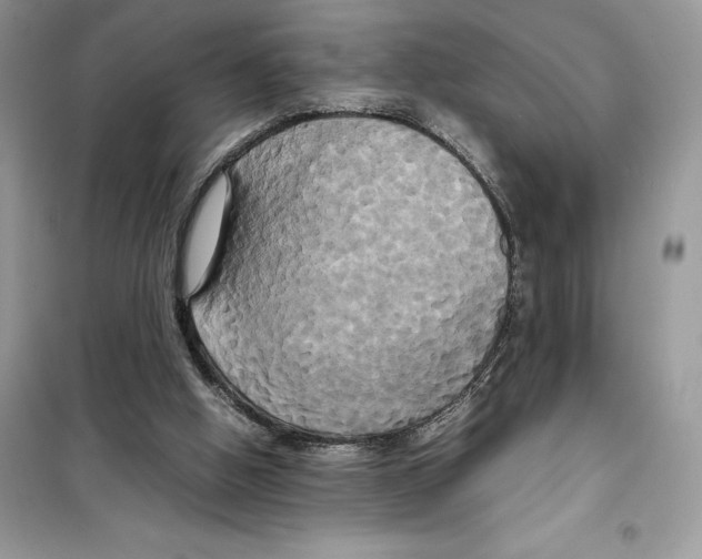 X0000099230058200805221844