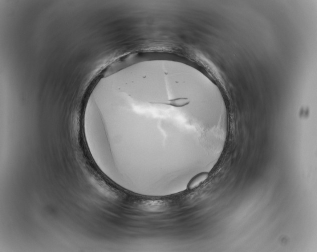 X0000099230059200805221844